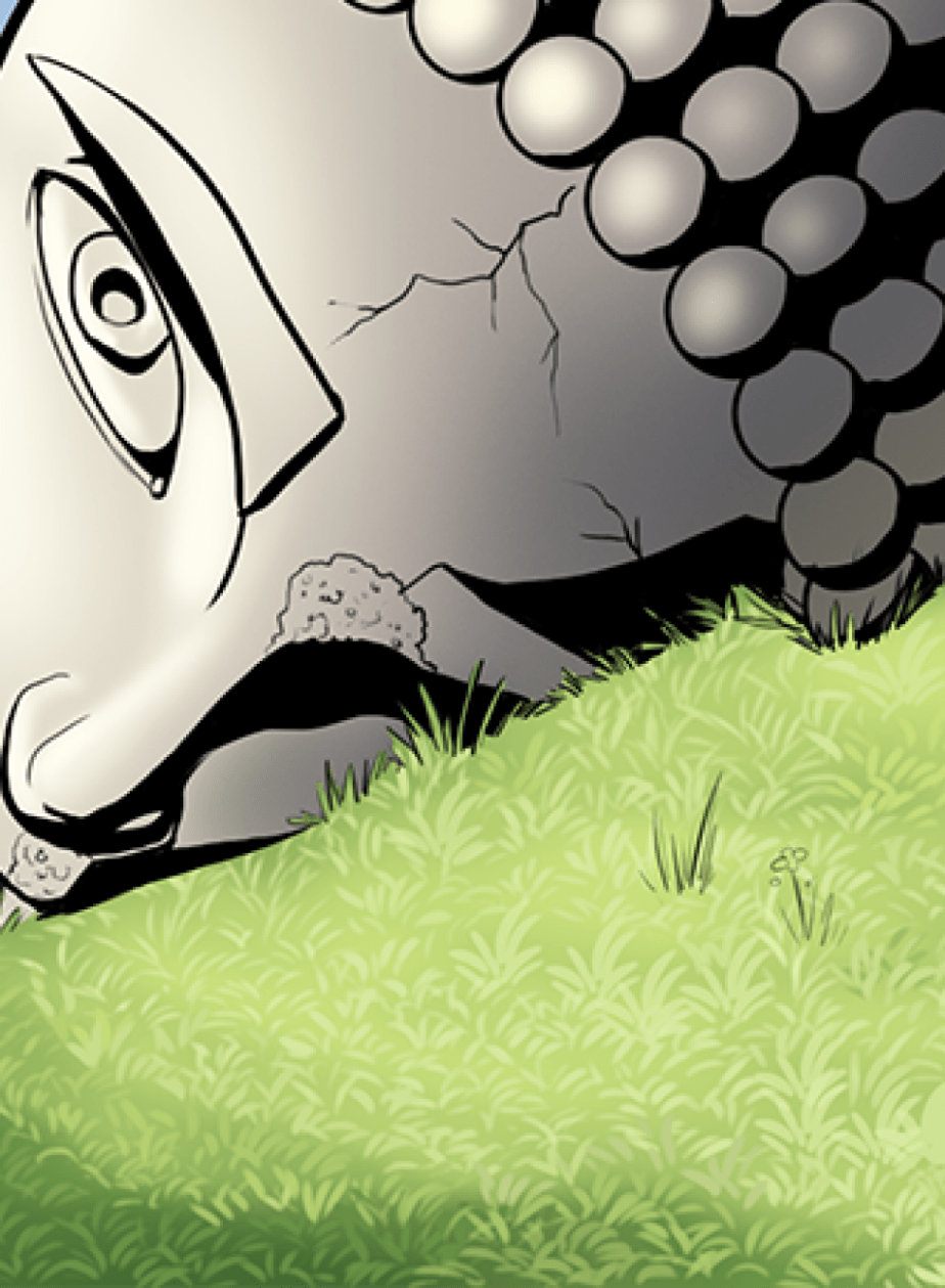 Samsara, the wheel of life representing the destruction of the old which is replaced by the new.